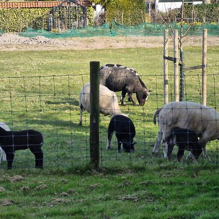 Hemmer Hoeve Exterior foto